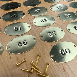 May include: Oval brass address plaques with numbers 31-60, and brass screws. The plaques are arranged on a wooden surface. Each plaque has two pre-drilled holes for mounting.