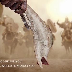 Print of  &quot;God For You&quot; Image and Graphics, Scripture, Horses, Christian Photography, Religious Photography, Gift for Him, Jawbone, Battle