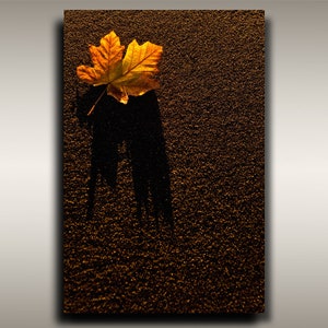 Autumn Tapestry Leaf Photo - 12&quot;x18&quot; Colorful Fall Leaves of Pacific Northwest Beaches from Vancouver Island, BC for Minimal Coastal Home