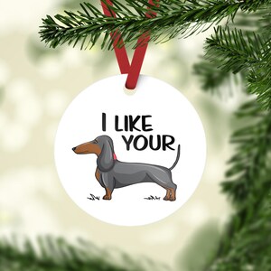 READY TO SHIP / I like your wiener / wiener dog / dachshund / dog / dachshund gift / sausage dog / white elephant gift / dog lover gift image 8