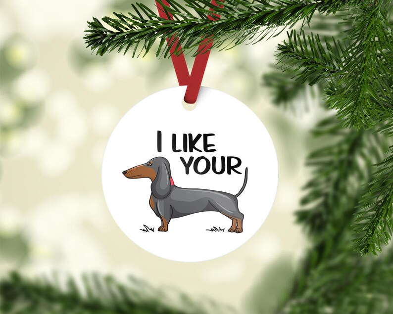 READY TO SHIP / I like your wiener / wiener dog / dachshund / dog / dachshund gift / sausage dog / white elephant gift / dog lover gift image 8