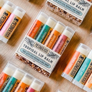 Tropical Collection of 4 Lip Balms - Raw Honey and Beeswax Lip Balm!