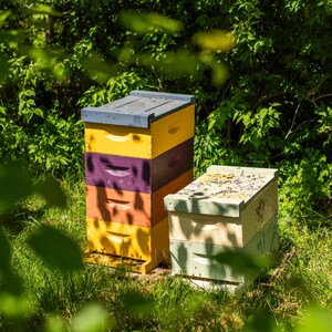 Sugar Plum Fairy - Raw Honey and Beeswax Lip Balm image 6