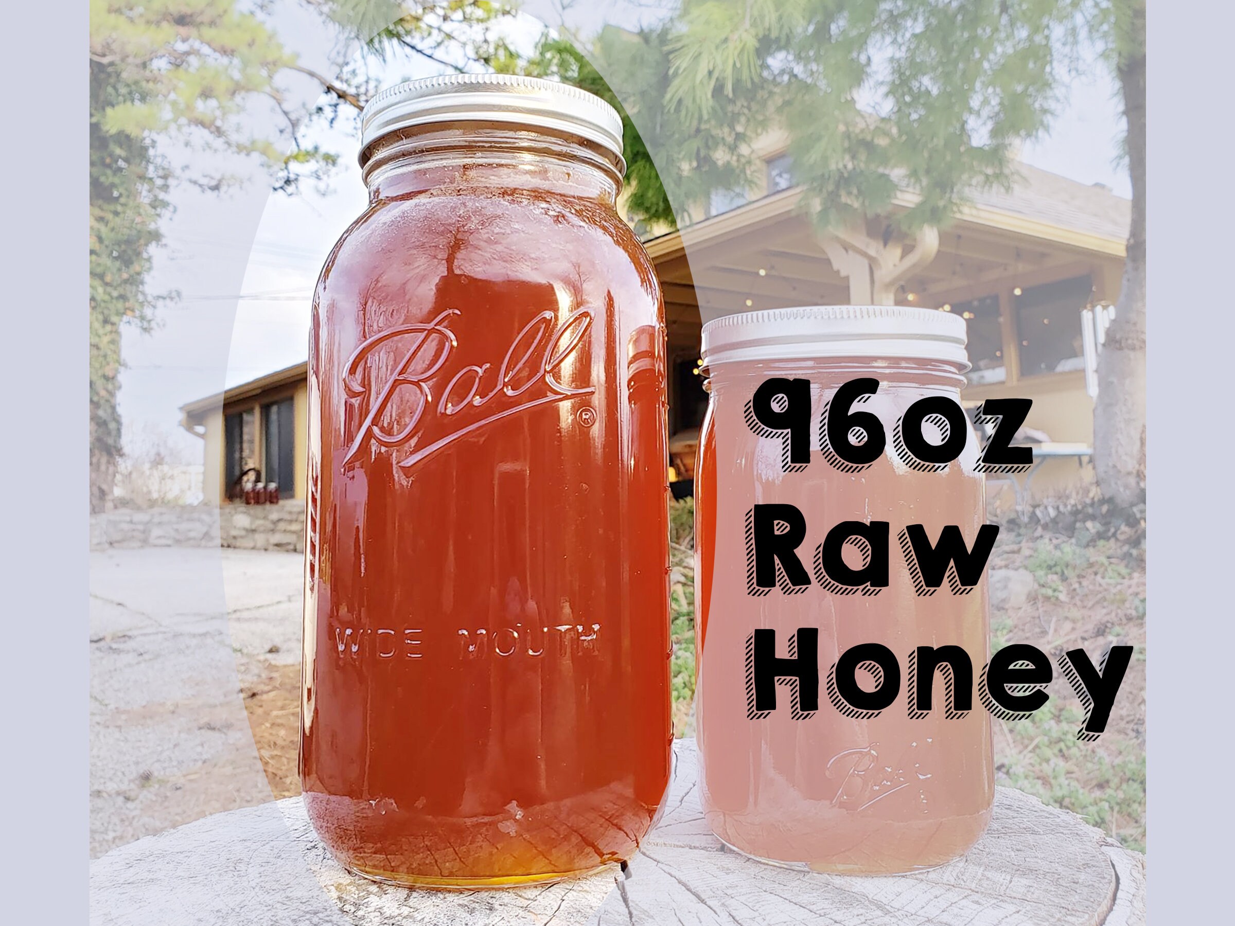 Bulk Raw Honey/ 96oz/ Kansas City Etsy
