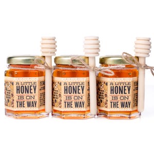 A Little Honey Is On The Way Honey Jar and Dipper - Baby Shower/Sprinkle Favors