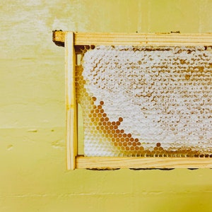 Raw Honey / 16oz / Kansas City image 4