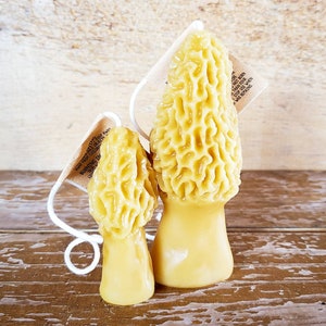 Morel Mushroom set - 100% Beeswax Candle