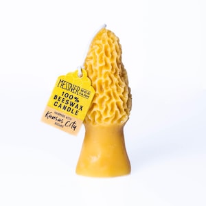 Morel Mushroom - 100% Beeswax Candle