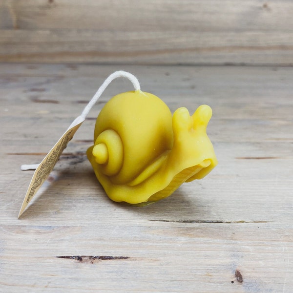 Snail - 100% Beeswax Candle