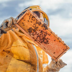 3 oz / Miel cremosa de limón y lavanda / Kansas City imagen 8