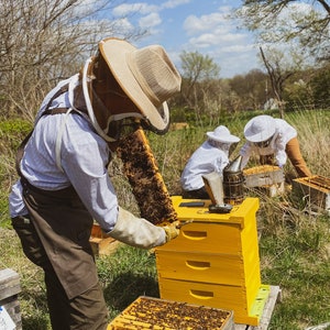 Raw Honey / 16oz / Kansas City image 6