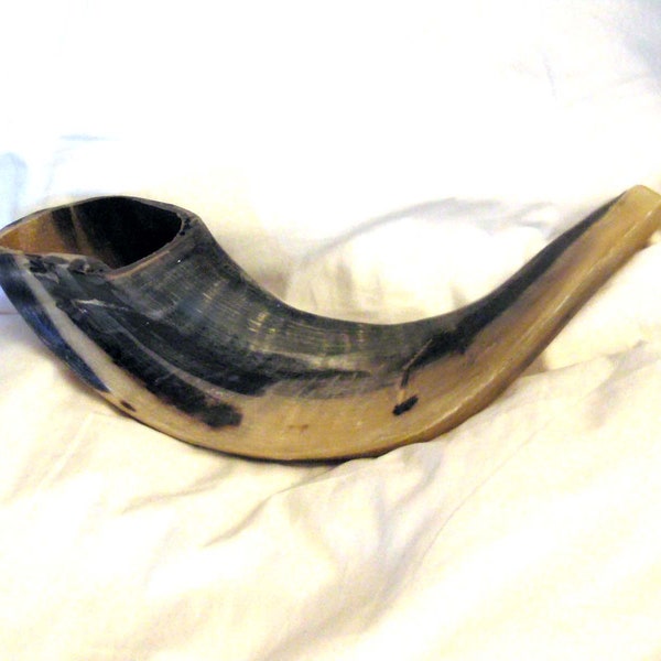 Juif shofar, corne de bélier la culture juive, symboles juif, noir et blanc, judaica, fêtes juives