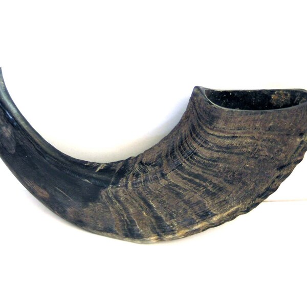 Juif shofar, corne de bélier la culture juive, symboles juif, noir et blanc, judaica, fêtes juives