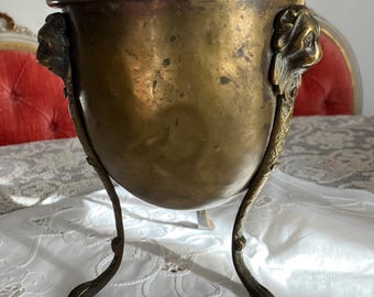 May include: A brass planter with three legs and lion head handles. The planter is on a white tablecloth.