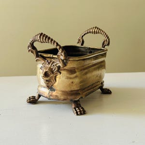 Antique brass planter with lion claw feet and lion head handles