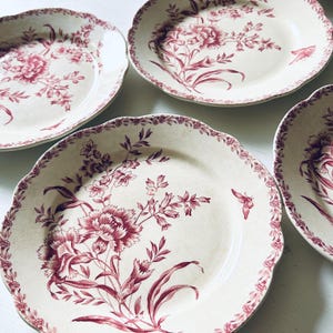 Set of 6 antique French ironstone plates, collectible transferware, patinated pink terre de fer, flowers butterflies, 1800s Art Nouveau