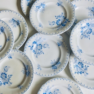Antique French plates, sets of 6, brocante ironstone, terre de fer by UC Sarreguemines, pattern Flore