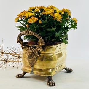 Antique brass planter with lion claw feet and lion head handles