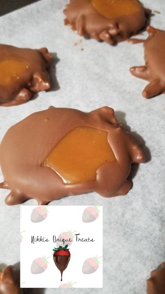 Pecan Turtles