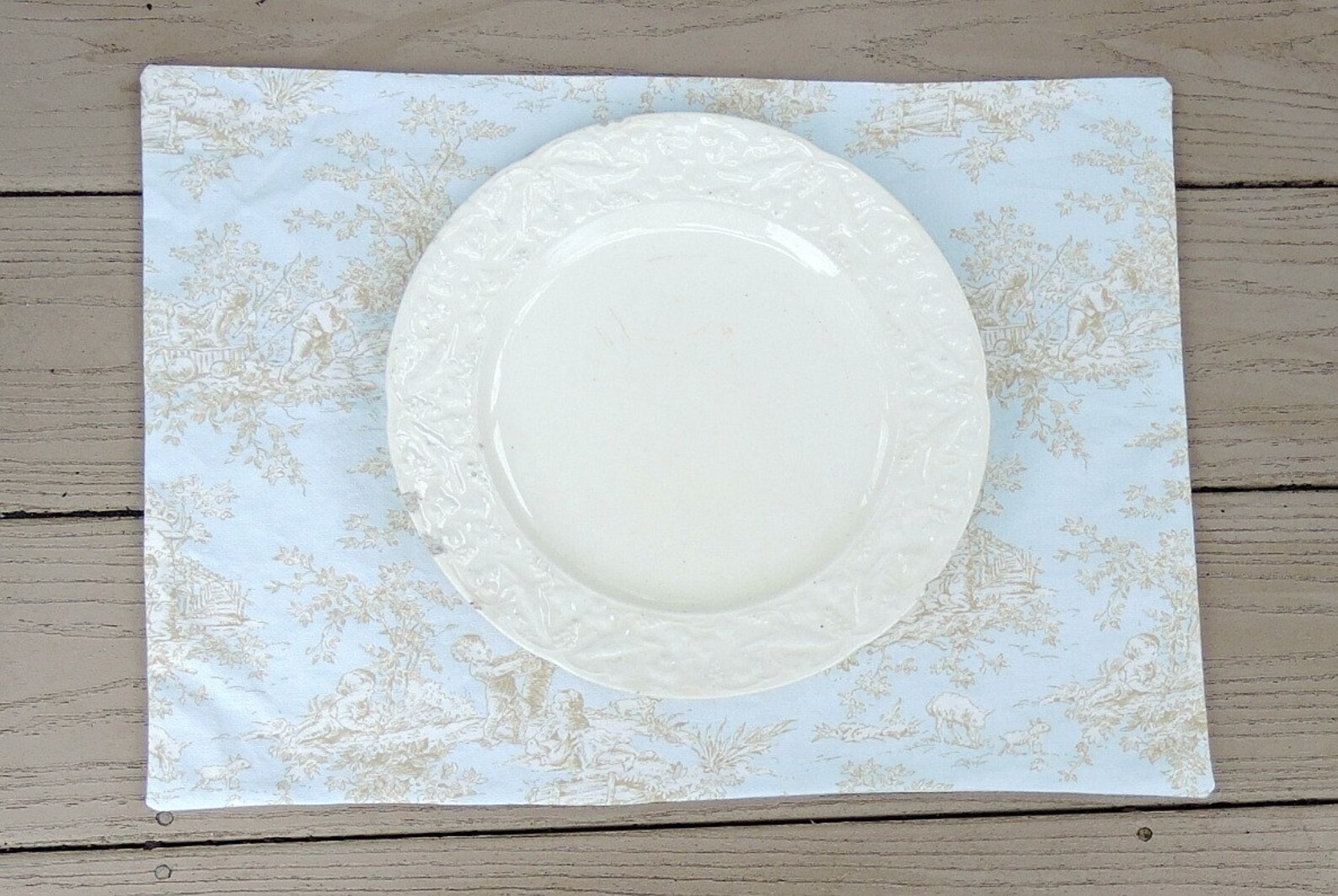 Blue and White Toile Placemats Set of 4 Lined Mats Tea Party Etsy