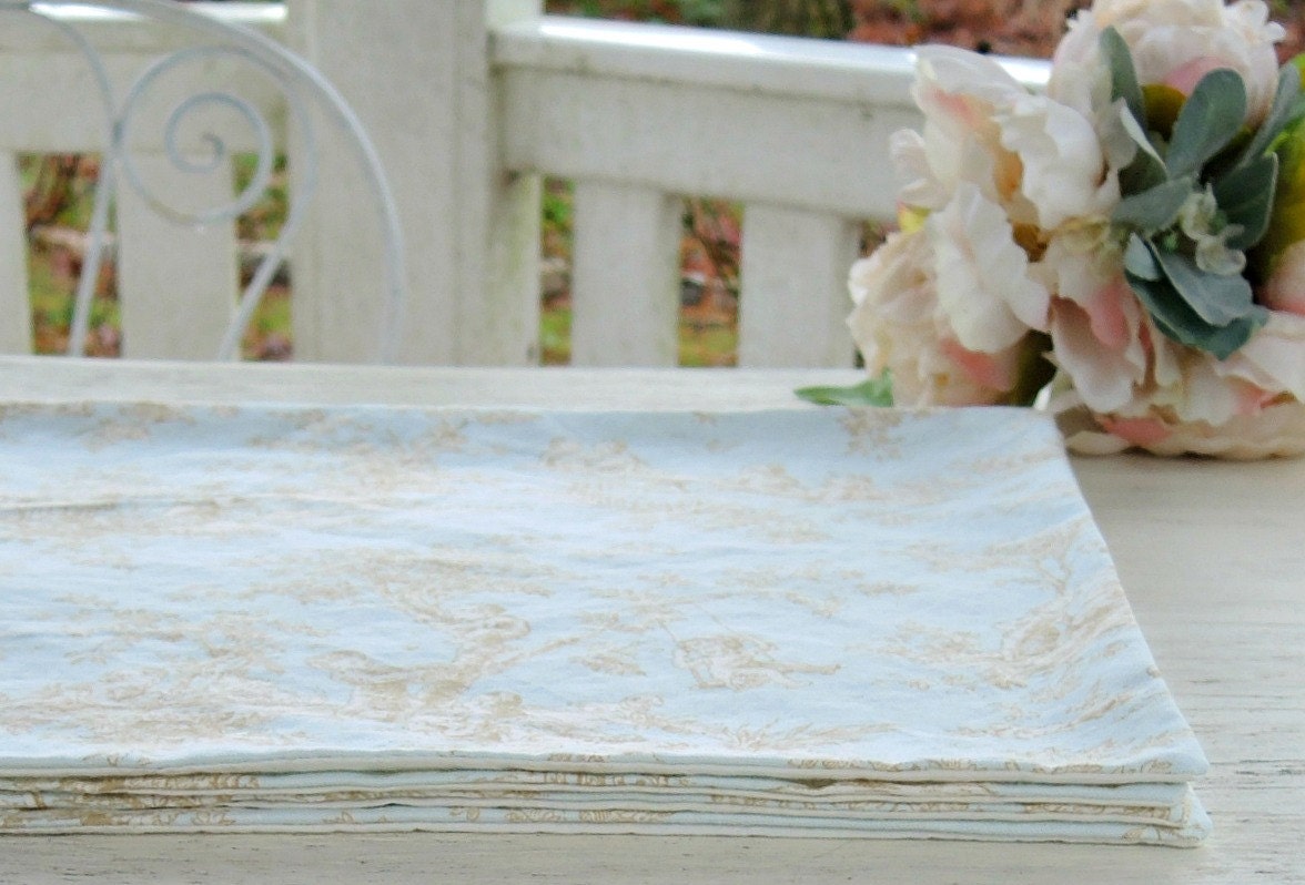 Blue and White Toile Placemats Set of 4 Lined Mats Tea Party Etsy
