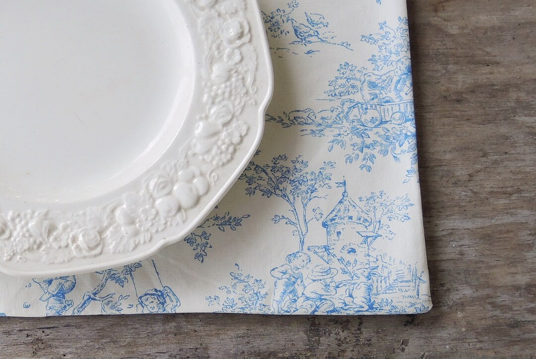 White and Blue Toile Placemats Set of 4 Lined Mats, Tea Party Linens