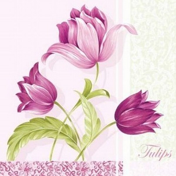 Napkins for decoupage ,Paper Lunch Napkins,Card Making,Collage, Serviettes -Romantic tulips rosa. Set of 5, Crafts Dinner Tea Party