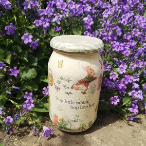 Peter Rabbit, Geld Glas, Andenken Glas, Kochglas, Aufbewahrungsglas, Teeglas, Kaffeeglas, Vintage-Stil Glas, schäbige Glas, rustikale Glas, Sparglas