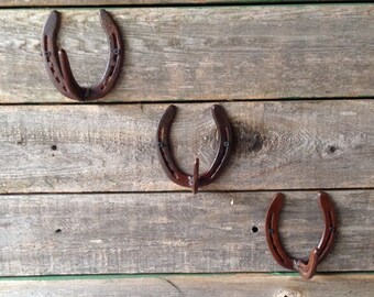 3 Piece Horseshoe Rack