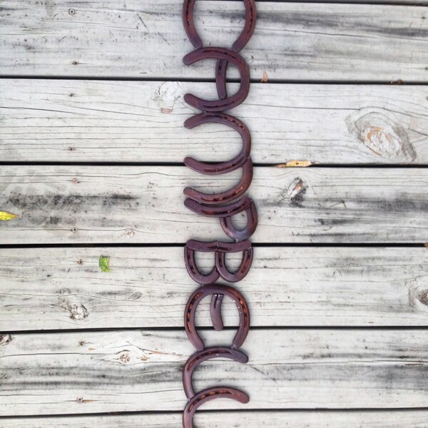 Custom Horseshoe Sign for Nicole