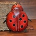 see more listings in the COIN PURSE section