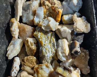 2,600 carats Virgin Valley  Opalized Woods and Agates Rough