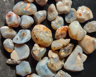 725 carats Australian Lightning Ridge Opal Rough