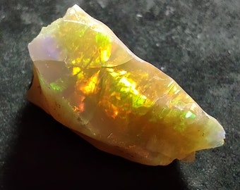 14.0 carat Ethiopian Welo Opal Polished with Display Container