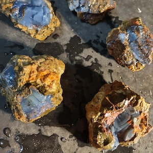 May include: Five rough-cut stones with a striking blue interior and a textured, earthy exterior. The stones vary in size and shape, showcasing natural variations in color and texture. The blue hues range from light to deep, contrasting with the brown and tan outer layers.