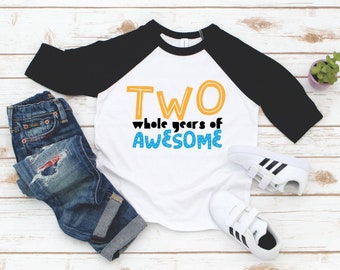 Boy Second Birthday Shirt -  Two Birthday Boy Raglan Sleeve - Unisex Two Whole Years of Awesome Birthday Shirt - 2 year old boy