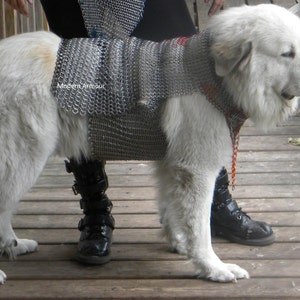chainmail dog harness