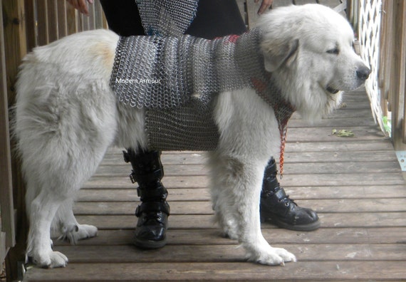Chainmail dog harness Clearance