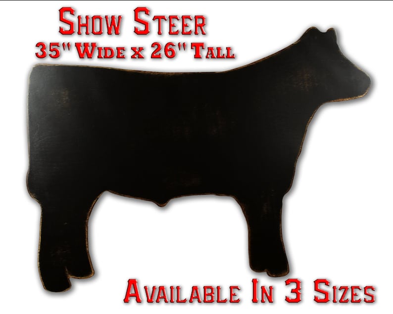 Show Steer Show Heifer Stock Show Show Cattle Livestock Show Etsy