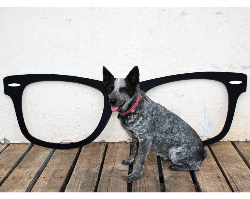 bigger wayfarer