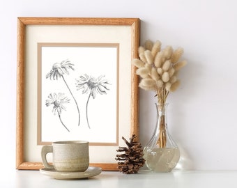 Marguerite pencil drawing artprint, nature Giclée print graphite wall decor