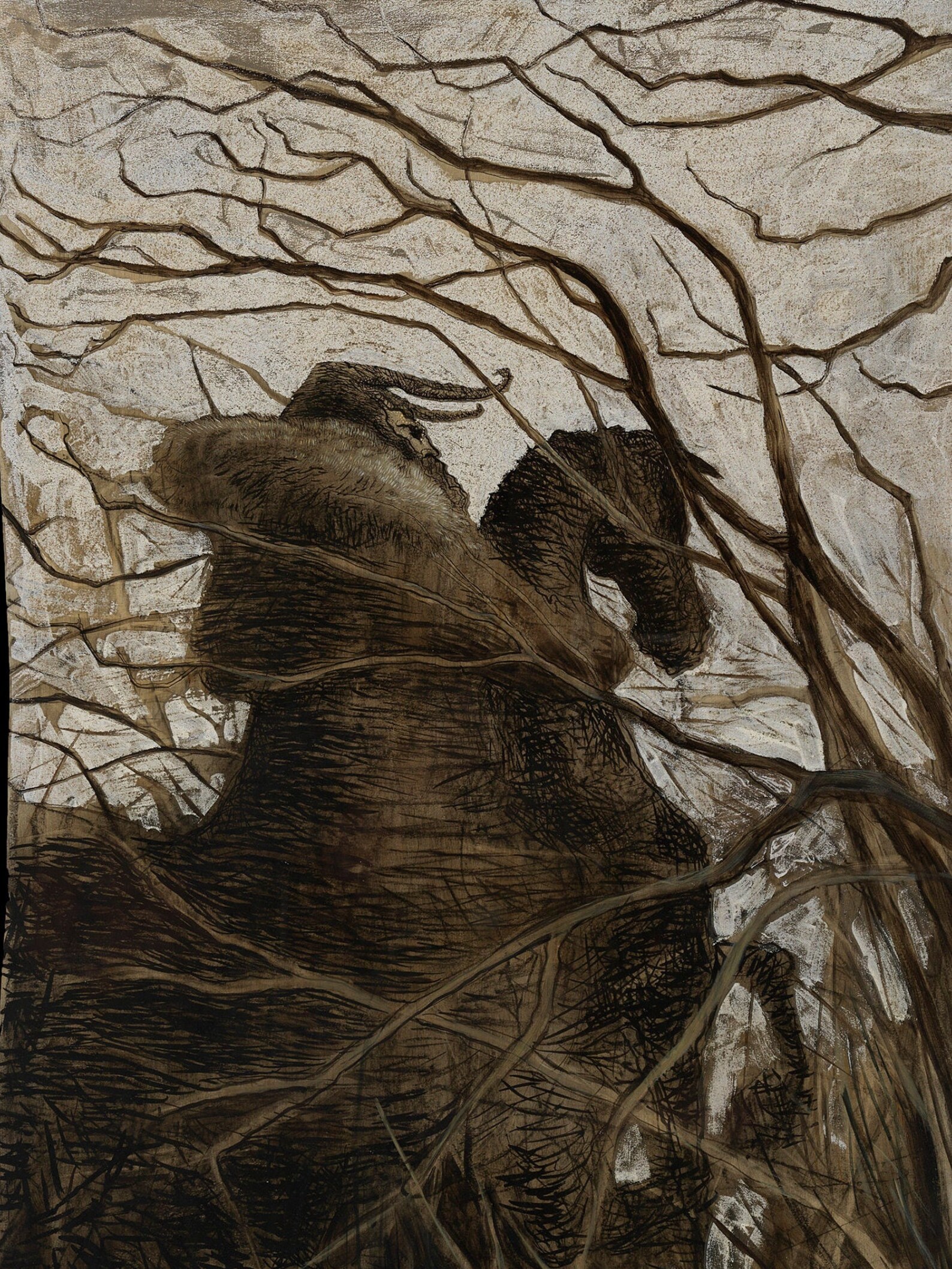 Fionn Mac Cumhaill Irish Legends Fine Art Print Etsy UK