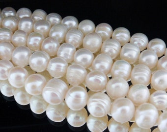 Gorgeous Freshwater Potato Pearls Beads White 10-11mm  - 14" Strand (approx 40 beads), Craft Supplies, Beads, UK Seller (FPSB3004)
