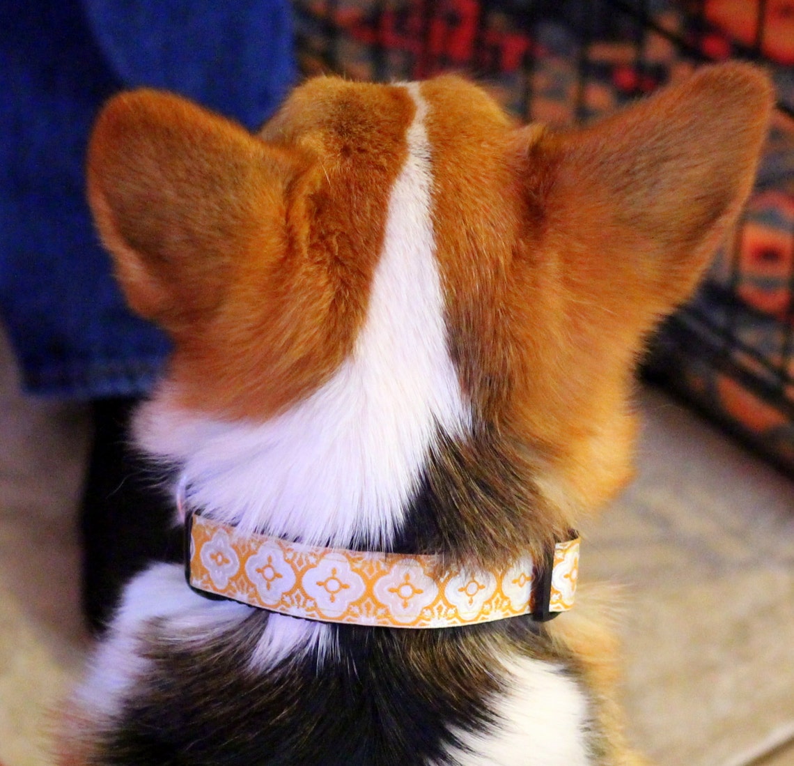 Adjustable yellow and white dog collar on Jacquard ribbon Etsy