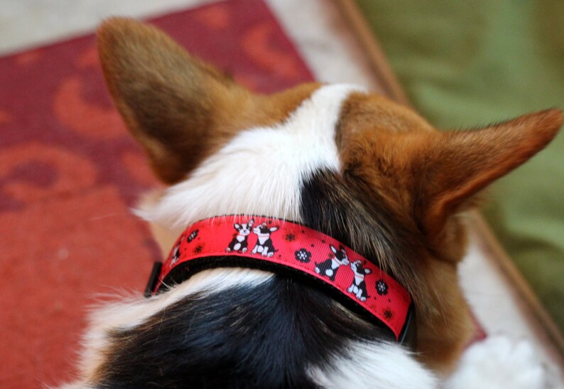 Sweet Puppy Kisses Adjustable Dog Collar With Boston Terriers Etsy