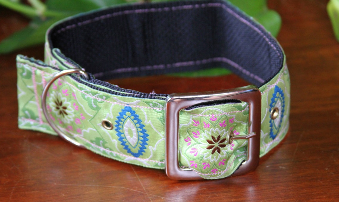 2 Inch Dog Collar With Buckle Closure for Special Occasions Etsy