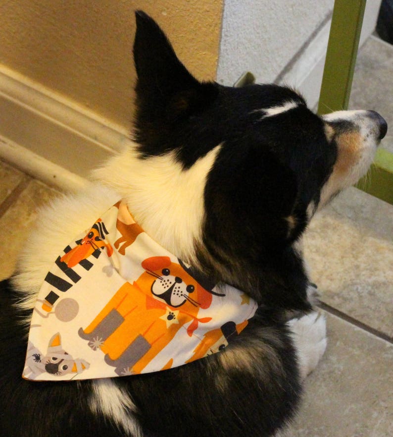 Spooktacular Dog Over the Collar Style Halloween Bandanas With Etsy