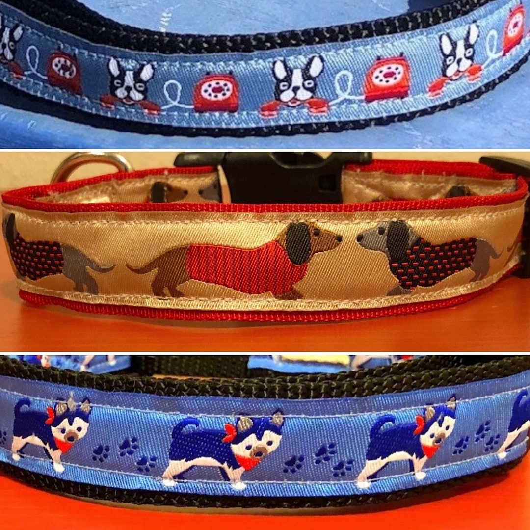 Dog Collars With Dachshunds, Huskies, or Boston Terriers on Jacquard