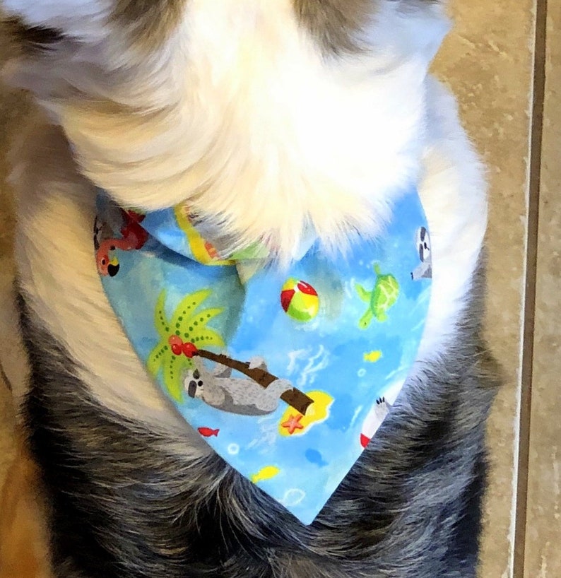 Dog overthe collar bandanas with sloths at the beach print Etsy