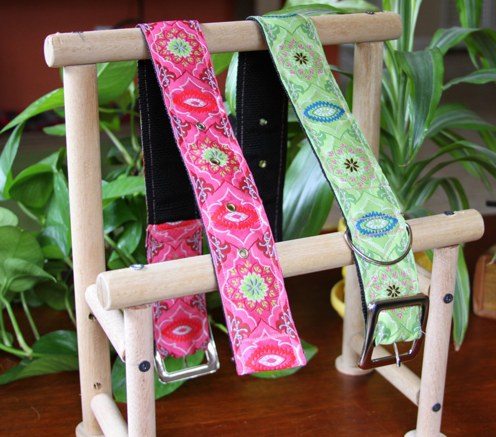 2 Inch Dog Collar With Buckle Closure for Special Occasions Etsy